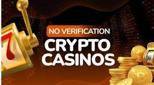 Discover the Best No KYC Crypto Casinos in 2023 Discover the Best No KYC Crypto Casinos in 2023